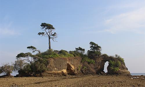 Pearl Park Beach Resort Lakshmanpur Exteriör bild